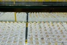 سعر سبائك الذهب يرتفع بأكثر من 3 ملايين دونغ فيتنامي صباح 10 مارس