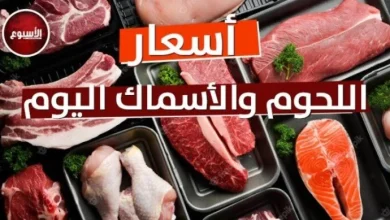 عرق الفلتو يصل إلى 420 جنيهًا مع تحديث أسعار اللحوم اليوم الاثنين 16 مارس 2026