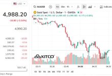 عيار 9999 والخواتم وأحدث الأسعار العالمية في السوق