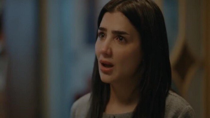 مسلسل الست موناليزا موعد عرض الحلقة الجديدة والقنوات الناقلة الرسمية