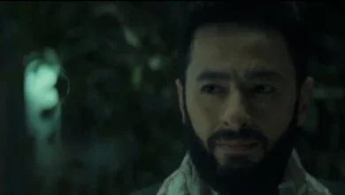 مسلسل المداح 6 الحلقة 20 حمادة هلال يتجاوز الحجر الثالث ويقترب من النهاية