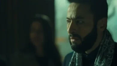 مسلسل المداح 6 الحلقة الأخيرة تحقق نجاح حمادة هلال وإنقاذ الأطفال في اللحظة الحاسمة