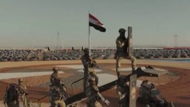 مسلسل رأس الأفعى الحلقة 29 يتألق بعلي الحجار وختام مميز بأغنية يا مصر يا بلادي