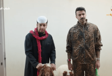 مسلسل شباب البومب 14 الحلقة 23 قصة الضحية والصراعات المثيرة تنتظركم في الأحداث القادمة