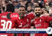 مشاهدة مباراة ليفربول وبرايتون اليوم بث مباشر في الدوري الإنجليزي عبر يلا شوت