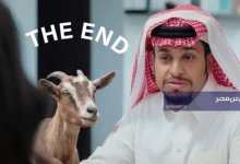 ملخص مسلسل شباب البومب 14 الحلقة 23 صدمة عامر بخروف العيد وحزن نوف وأحداث مثيرة تنتظر المشاهدين