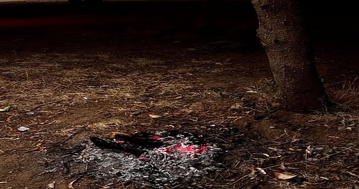 مواطن يشتعل النار في مواقع غير مخصصة داخل محمية طويق وتم ضبطه – مشاهير