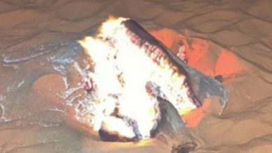 مواطن يُضبط أثناء إشعاله النار في مواقع غير مصرح بها داخل محمية طويق الطبيعية