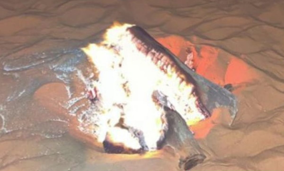 مواطن يُضبط أثناء إشعاله النار في مواقع غير مصرح بها داخل محمية طويق الطبيعية