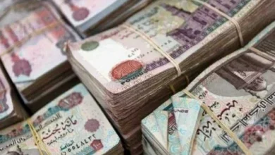 موعد صرف معاشات شهر أبريل 2026 وفقًا لقرار التأمينات تعلن جدول الاستحقاق الرسمي للمستفيدين