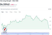 هل حان الوقت لشراء الذهب مع تراجع أسعاره إلى أدنى مستوياتها؟