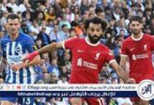 يلا شوت بث مباشر مباراة ليفربول وبرايتون الآن بتقنية HD بدون انقطاع